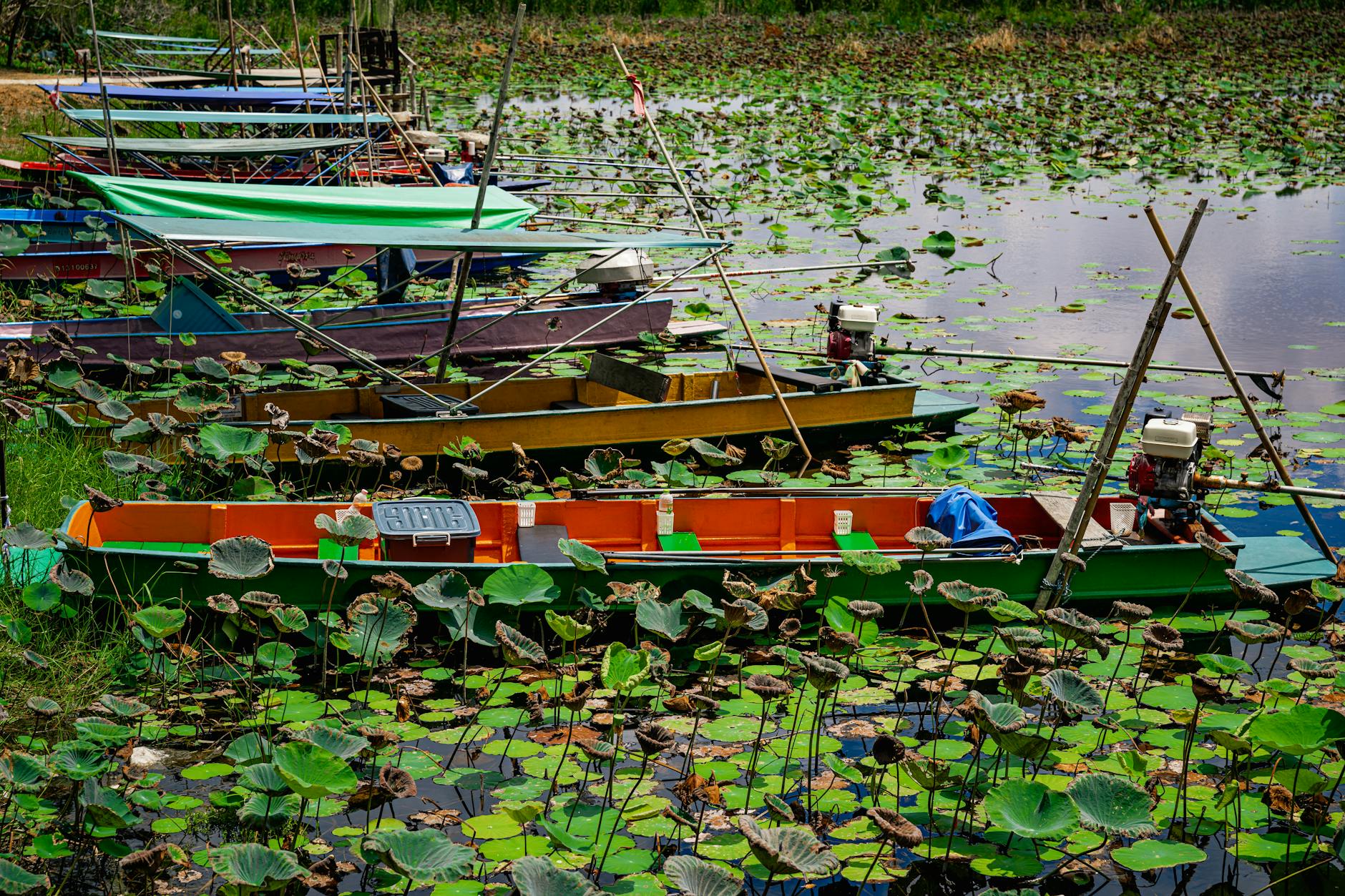 punting boats on lake
